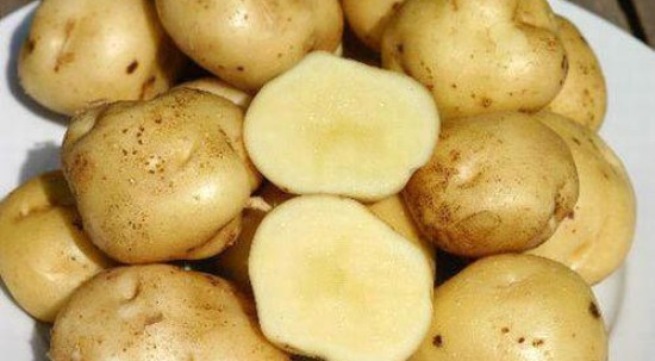 7 công dụng khác của khoai tây có thể bạn chưa biết 